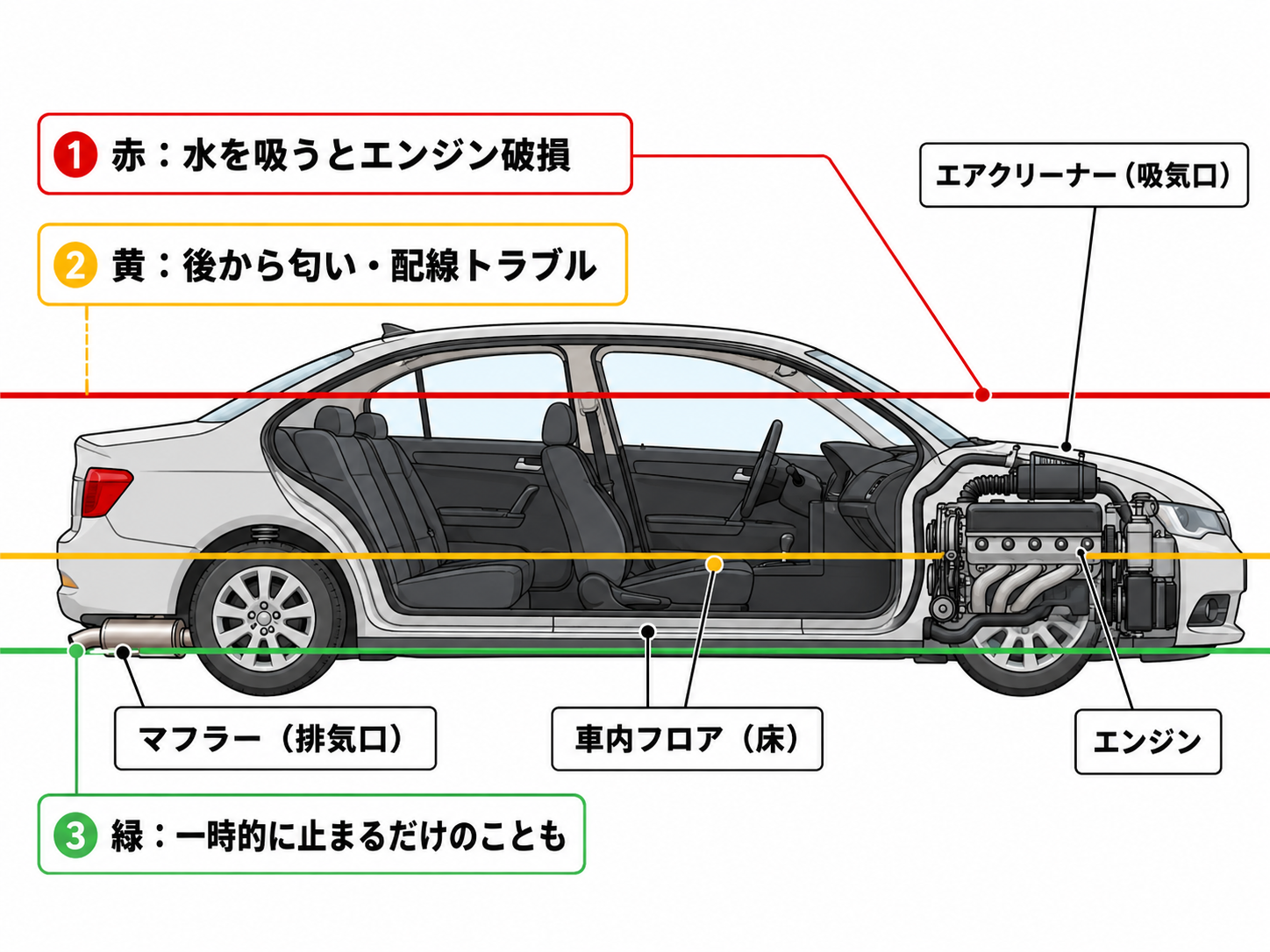 水没車の水位別ダメージ図(マフラー・フロア・エアクリーナーの高さで色分けした車体カット図)